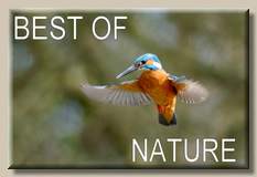 Best of
nature